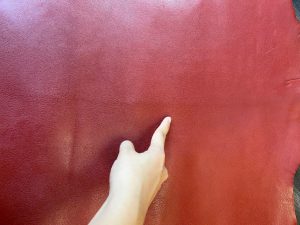 Người chế tác quan sát các vùng khác nhau trên tấm da thật